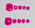 Fuchsia Fever